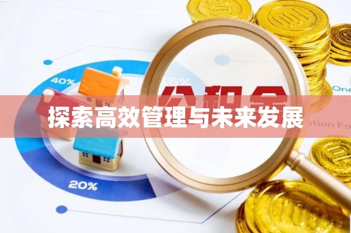 大渡口探索高效管理与未来发展