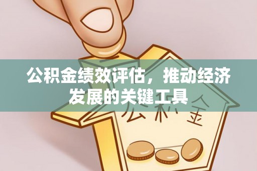 大渡口公积金绩效评估，推动经济发展的关键工具