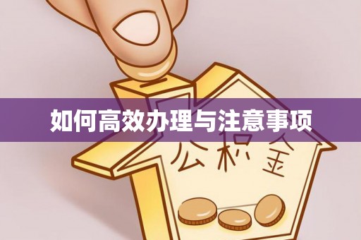 大渡口如何高效办理与注意事项