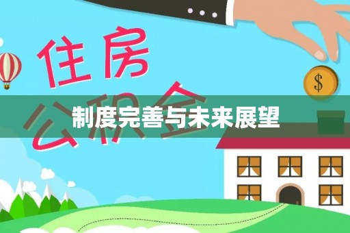 大渡口制度完善与未来展望