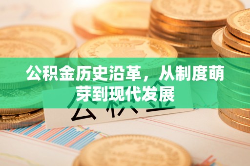 大渡口公积金历史沿革，从制度萌芽到现代发展