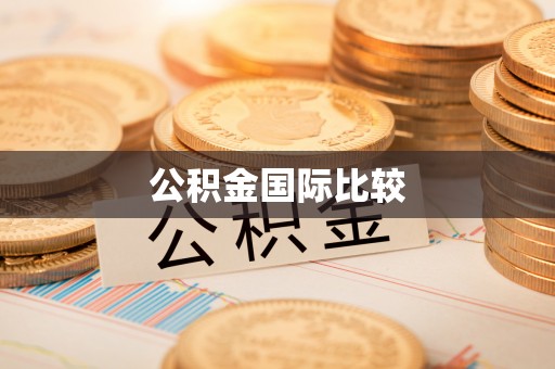 大渡口公积金国际比较