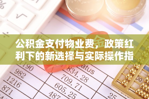 大渡口公积金支付物业费，政策红利下的新选择与实际操作指南