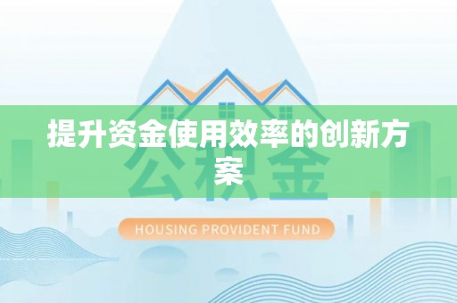 大渡口提升资金使用效率的创新方案