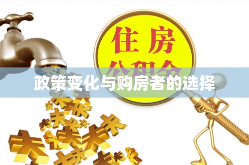 大渡口政策变化与购房者的选择