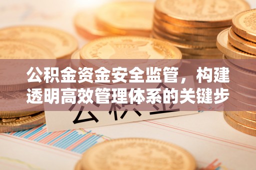 大渡口公积金资金安全监管，构建透明高效管理体系的关键步骤