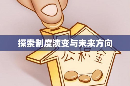大渡口探索制度演变与未来方向