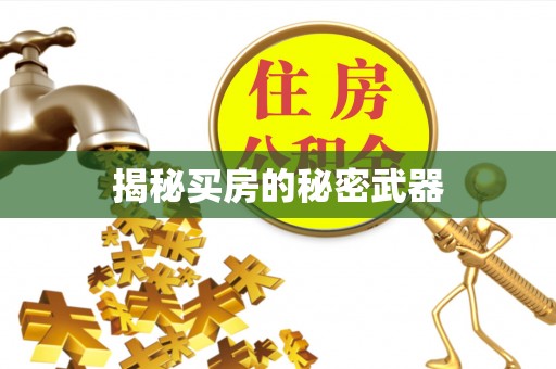 大渡口揭秘买房的秘密武器