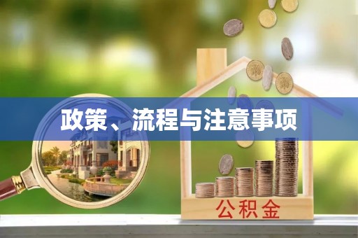 大渡口政策、流程与注意事项
