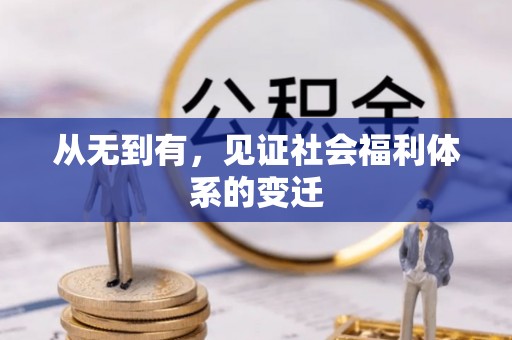 大渡口从无到有，见证社会福利体系的变迁
