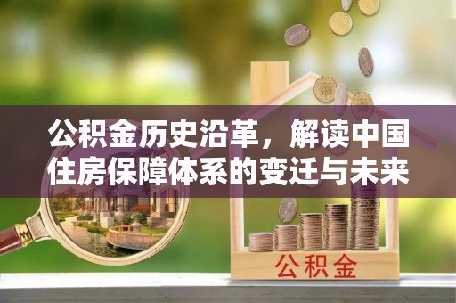 大渡口公积金历史沿革，解读中国住房保障体系的变迁与未来