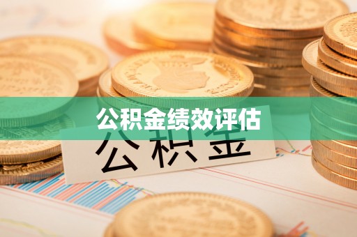 大渡口公积金绩效评估