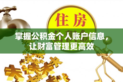 大渡口掌握公积金个人账户信息，让财富管理更高效
