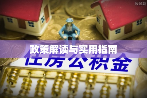 大渡口政策解读与实用指南