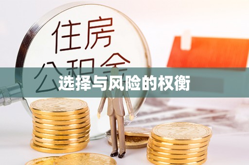 大渡口选择与风险的权衡