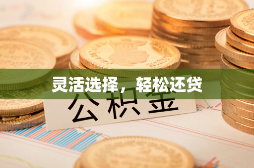 大渡口灵活选择，轻松还贷