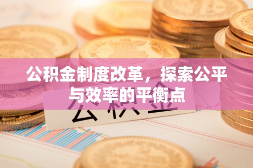 大渡口公积金制度改革，探索公平与效率的平衡点