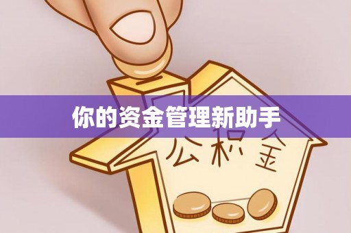 大渡口你的资金管理新助手