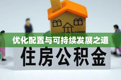 大渡口优化配置与可持续发展之道