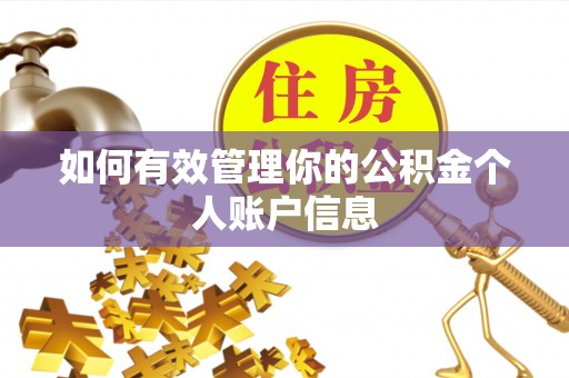 大渡口如何有效管理你的公积金个人账户信息