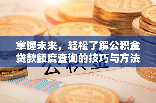 大渡口掌握未来，轻松了解公积金贷款额度查询的技巧与方法