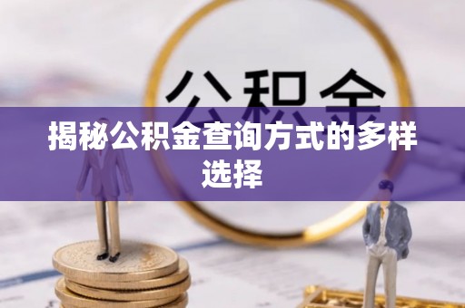 大渡口揭秘公积金查询方式的多样选择