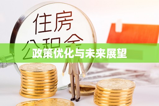 大渡口政策优化与未来展望