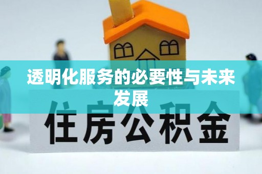 大渡口透明化服务的必要性与未来发展