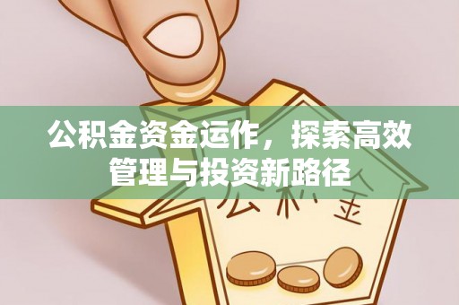 大渡口公积金资金运作，探索高效管理与投资新路径