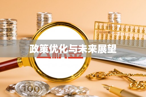 大渡口政策优化与未来展望