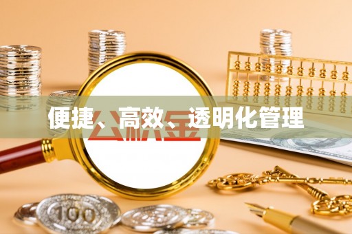 大渡口便捷、高效、透明化管理