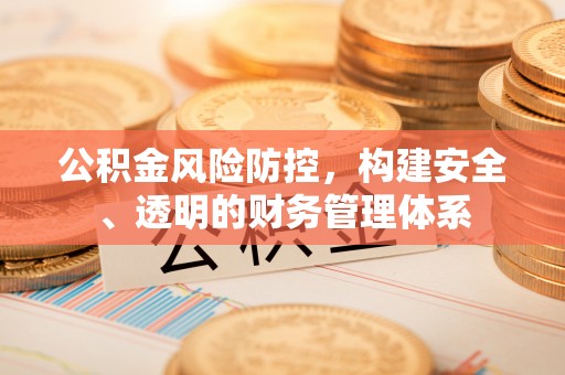 大渡口公积金风险防控，构建安全、透明的财务管理体系
