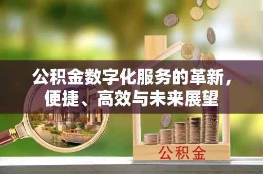 大渡口公积金数字化服务的革新，便捷、高效与未来展望
