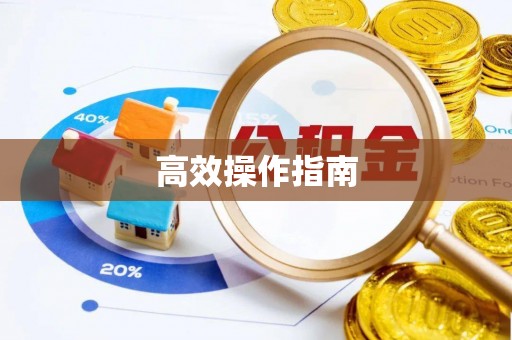 大渡口高效操作指南