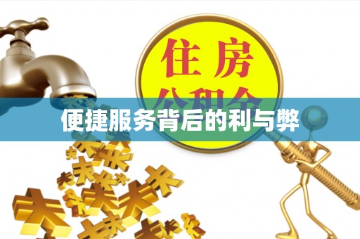 大渡口便捷服务背后的利与弊