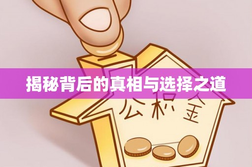 大渡口揭秘背后的真相与选择之道
