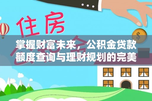 大渡口掌握财富未来，公积金贷款额度查询与理财规划的完美结合